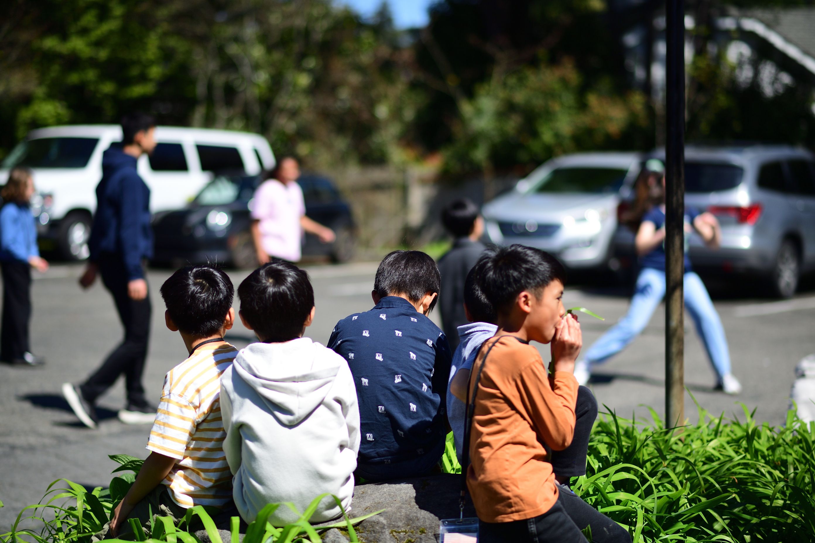 April 2026 photo 62